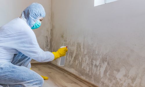 Mold Remediation in Cumming, GA